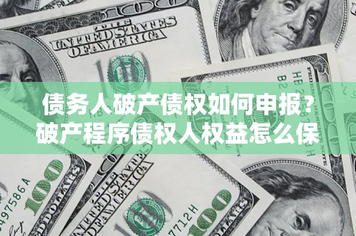北京债务人破产债权如何申报？破产程序债权人权益怎么保障？
