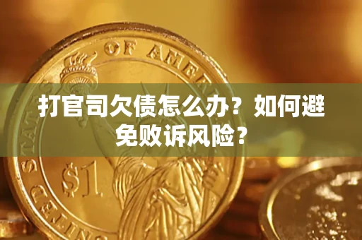 北京打官司欠债怎么办？如何避免败诉风险？