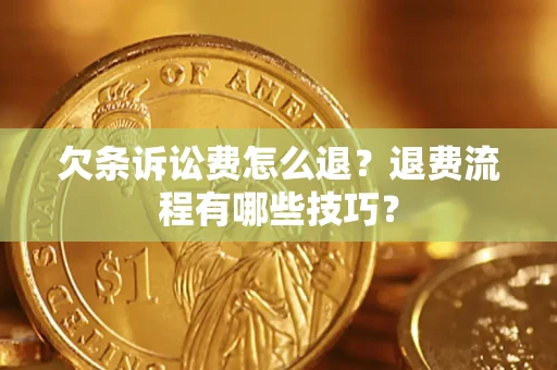 北京欠条诉讼费怎么退？退费流程有哪些技巧？
