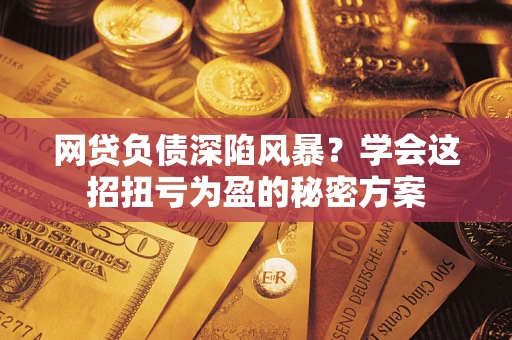 北京网贷负债深陷风暴？学会这招扭亏为盈的秘密方案